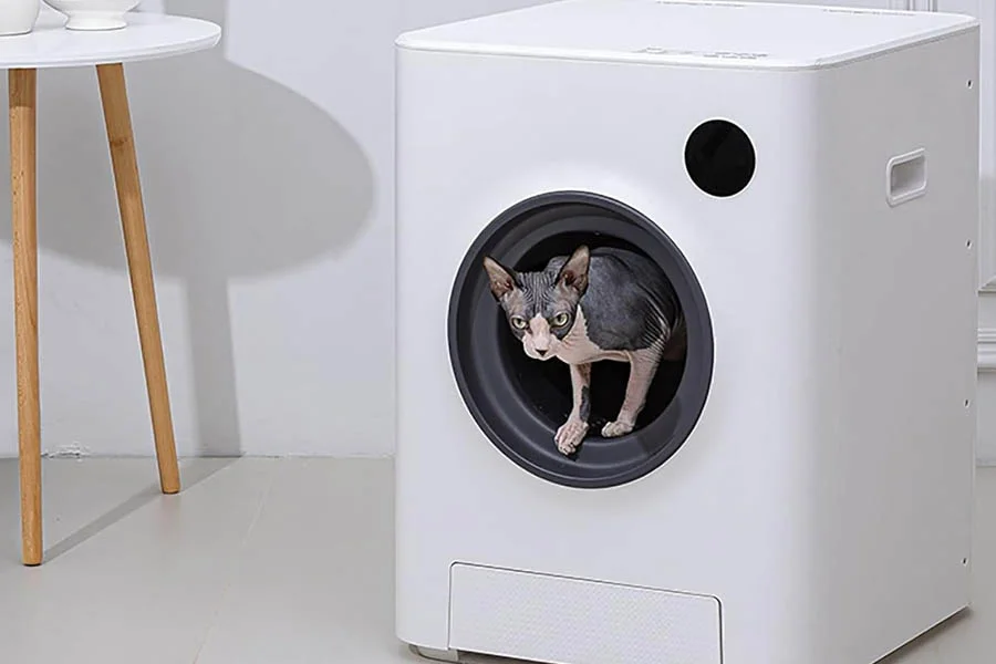 smell free litter box